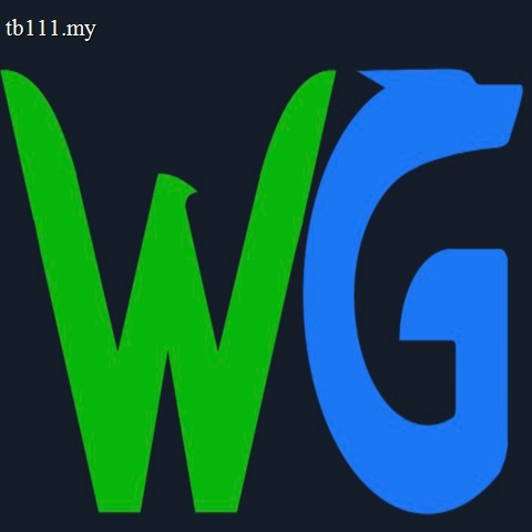 WG电子